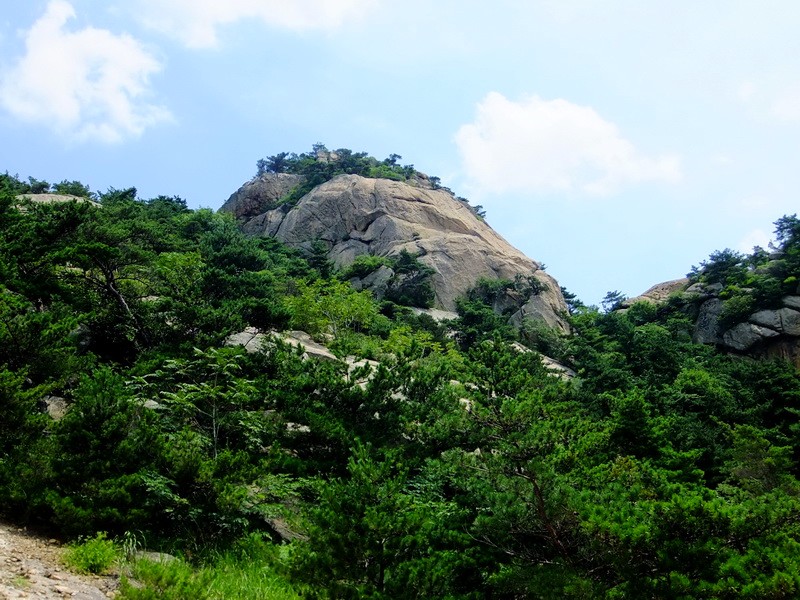 DSCF3737.jpg