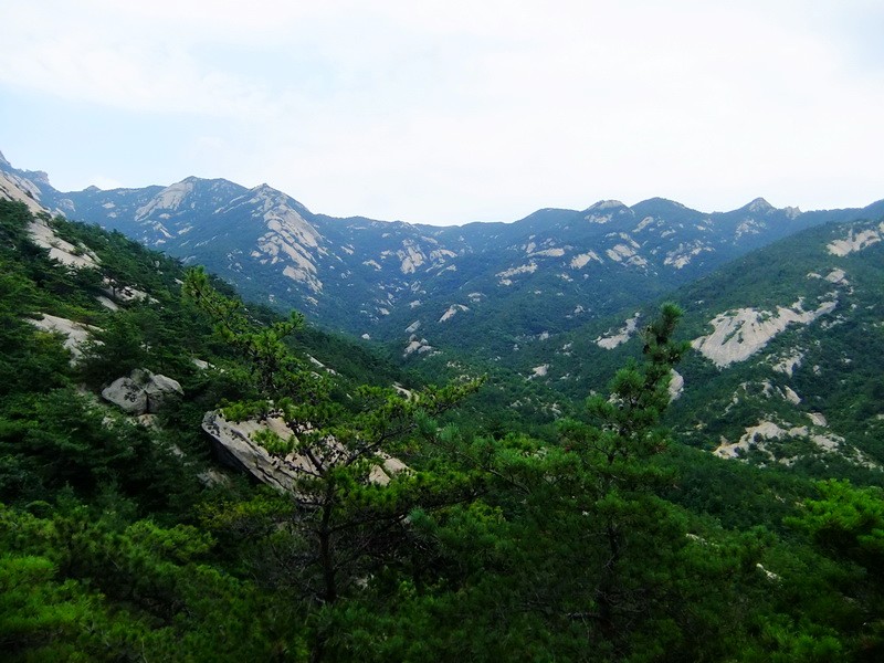 DSCF3753.jpg