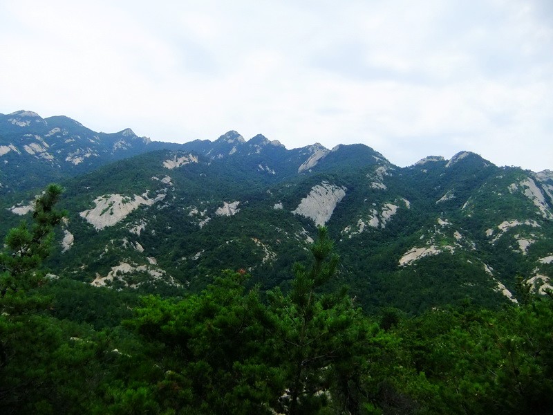 DSCF3754.jpg