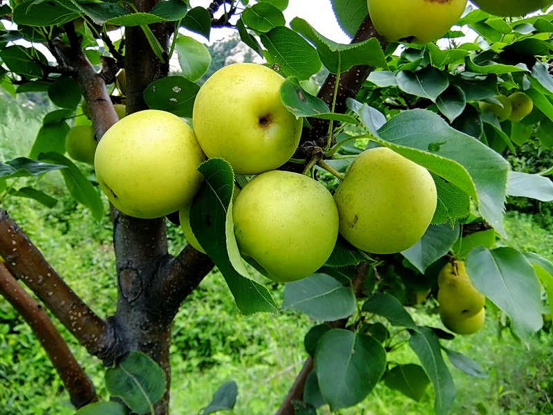 DSCF3762.jpg