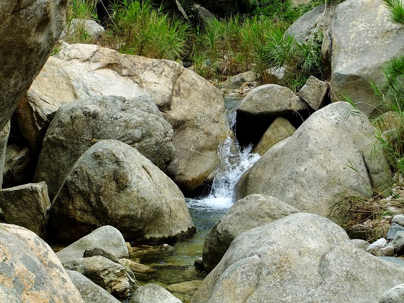 DSCF3775.jpg