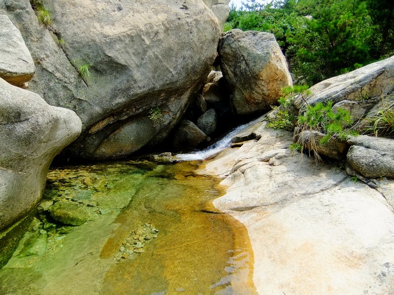 DSCF3771.jpg