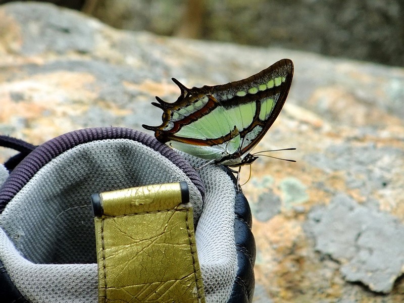 DSCF3803.jpg