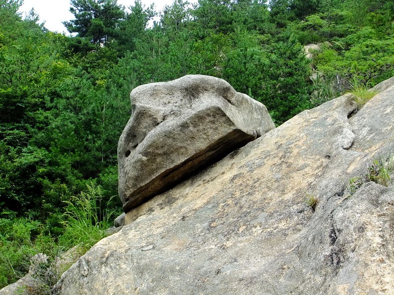 DSCF3772.jpg