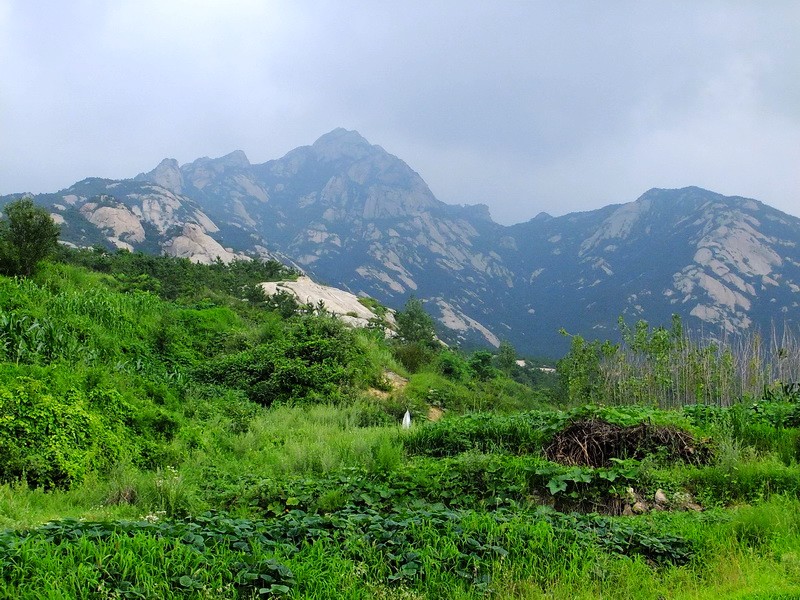 DSCF4005.jpg