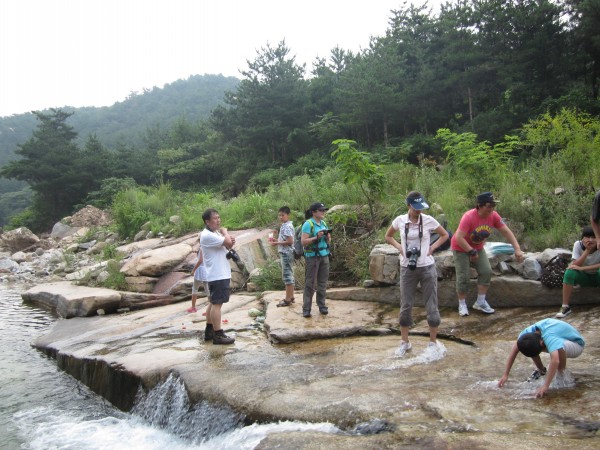 conew_img_1989.jpg