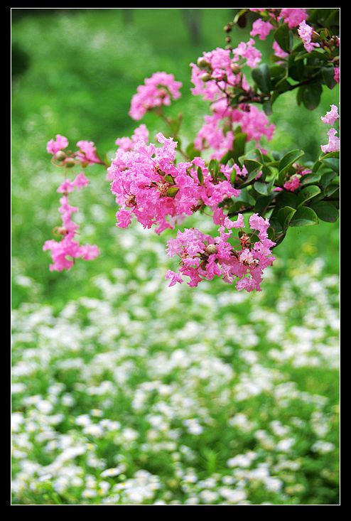 DSC_6027.jpg