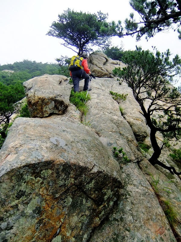 DSCF4054.jpg