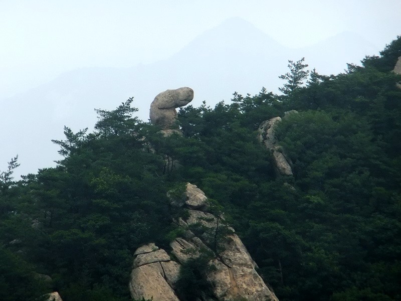 DSCF4092.jpg