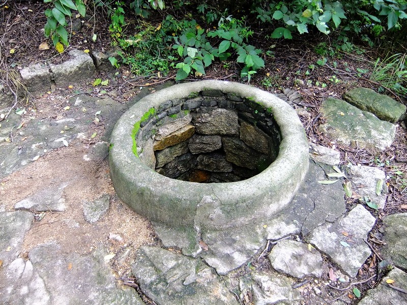 DSCF4102.jpg
