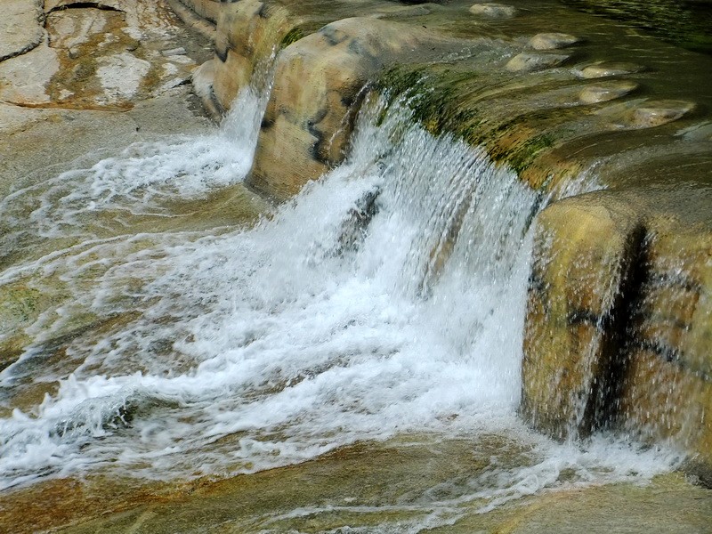 DSCF4115.jpg