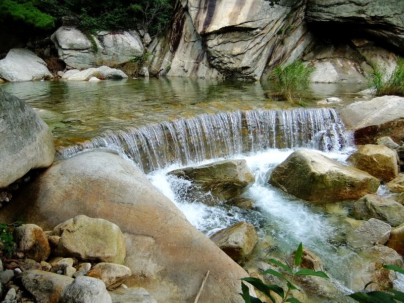 DSCF4126.jpg