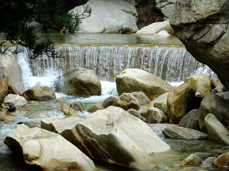 DSCF4125.jpg