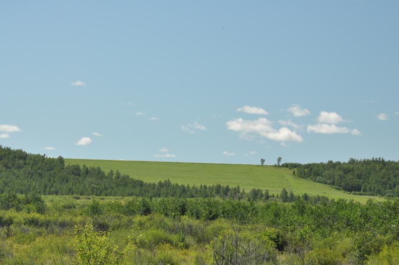 DSC_2431.jpg