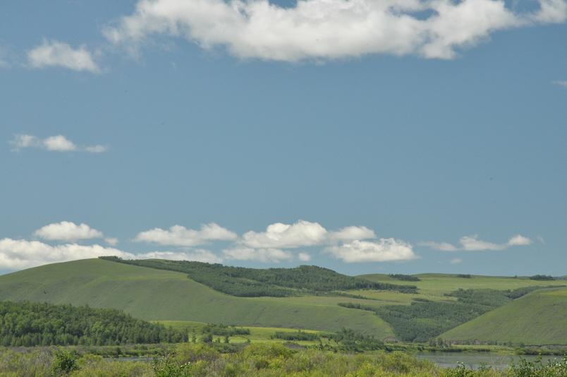 DSC_2432.jpg