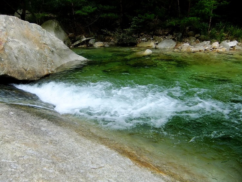 DSCF4142.jpg