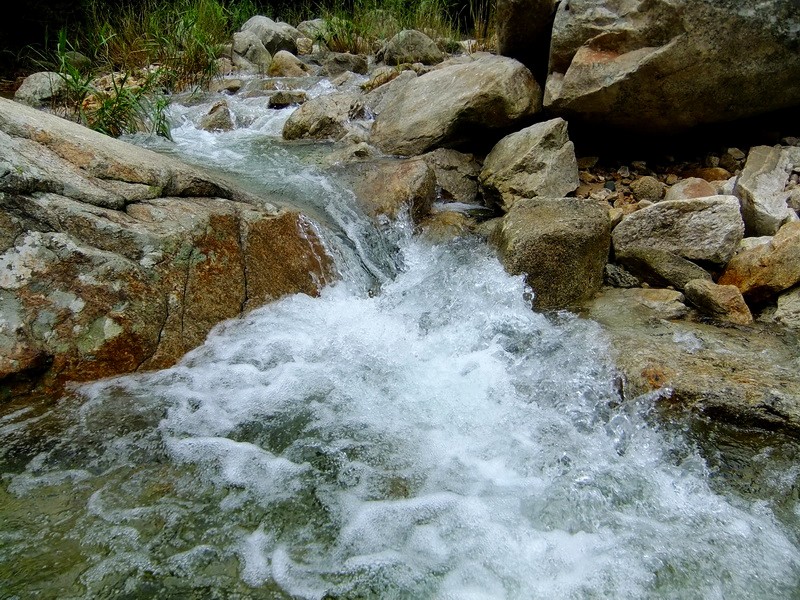 DSCF4140.jpg