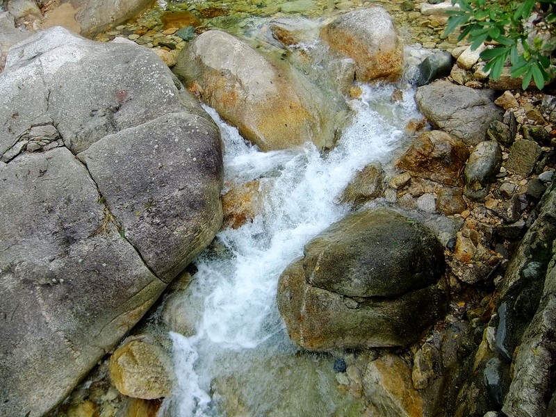 DSCF4122.jpg