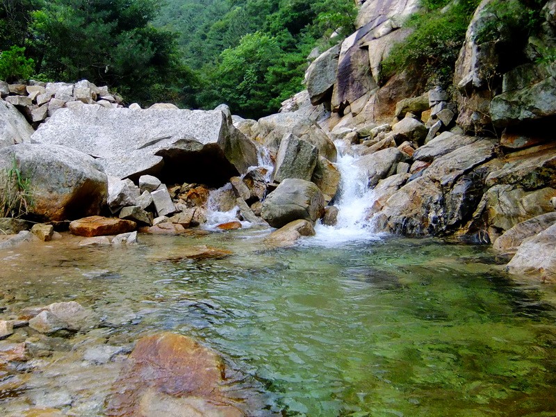 DSCF4171.jpg