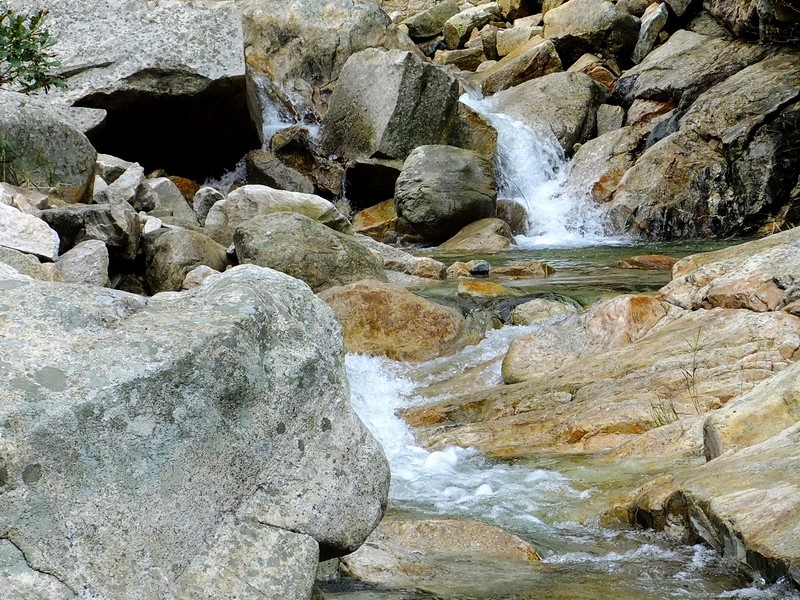 DSCF4167.jpg