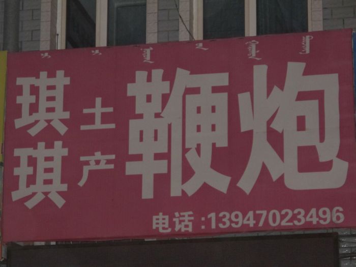 nEO_IMG_2011-8大草原 1051.jpg