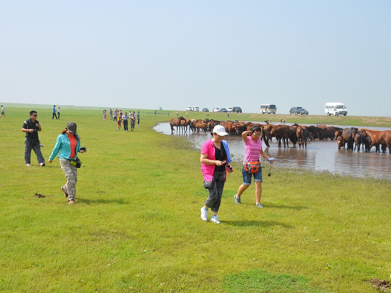 PhotoCap_164.jpg