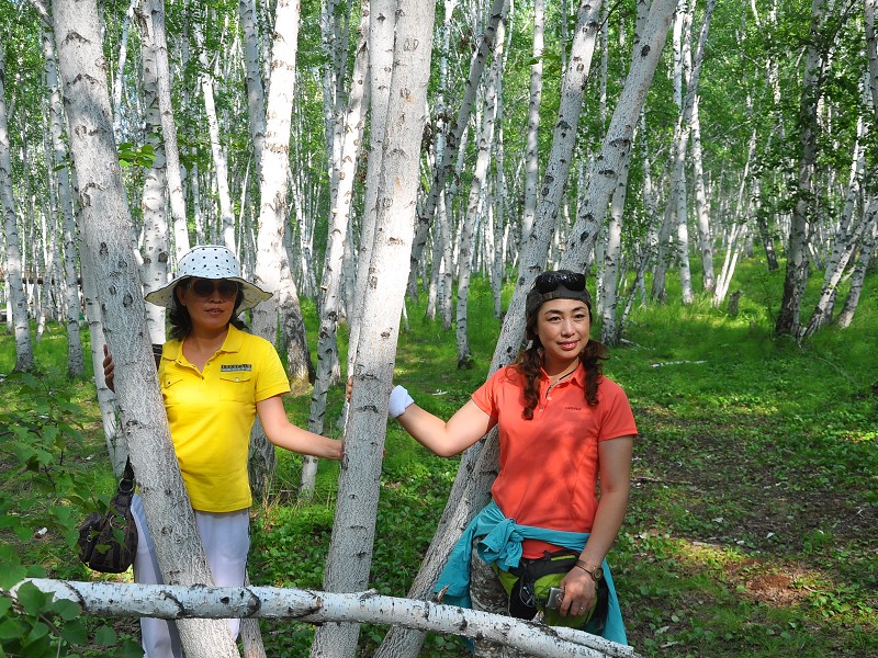 PhotoCap_222.jpg