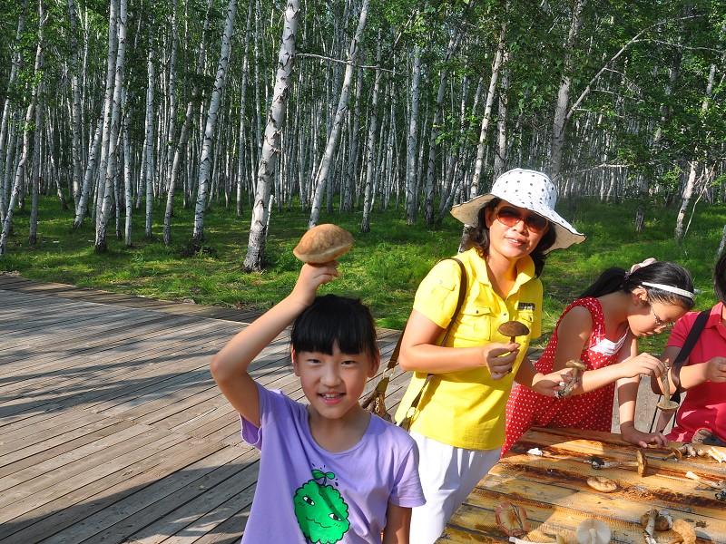 PhotoCap_301.jpg