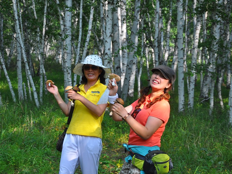 PhotoCap_294.jpg
