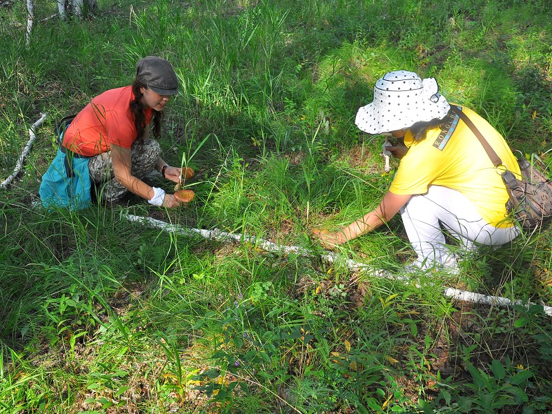 PhotoCap_290.jpg