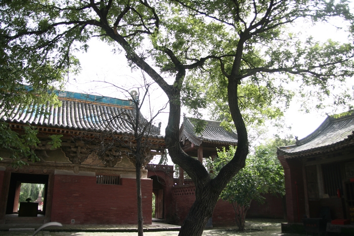 小院.jpg