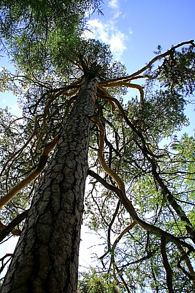 DPP_2039.JPG