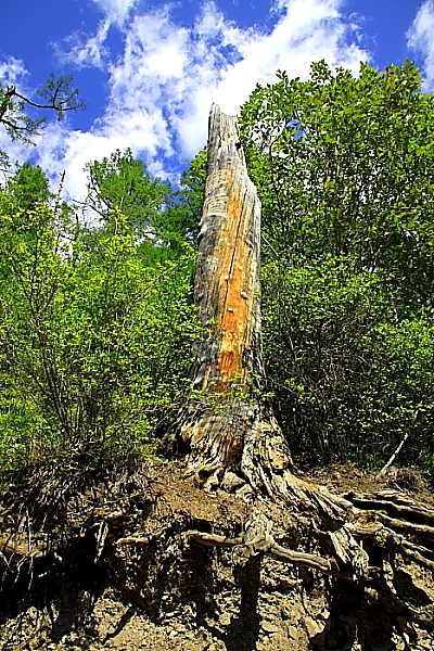 DPP_2038.JPG