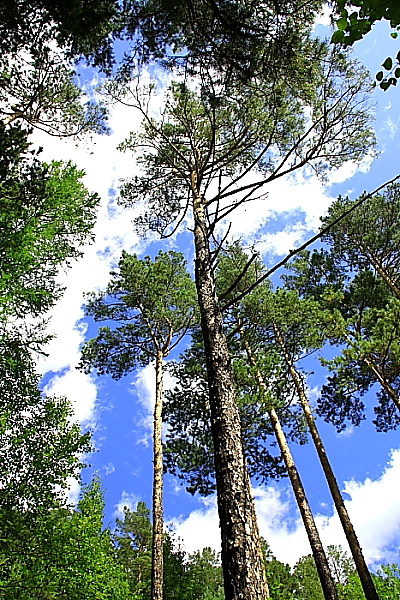 DPP_2040.JPG