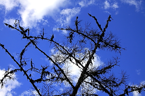 DPP_2041.JPG