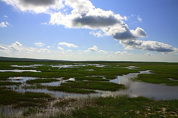 DPP_2059.JPG