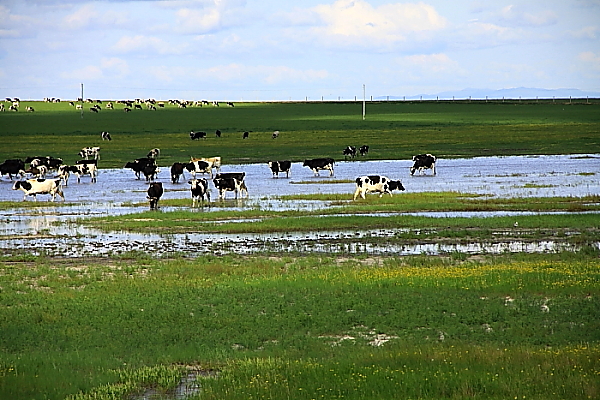 DPP_2058.JPG
