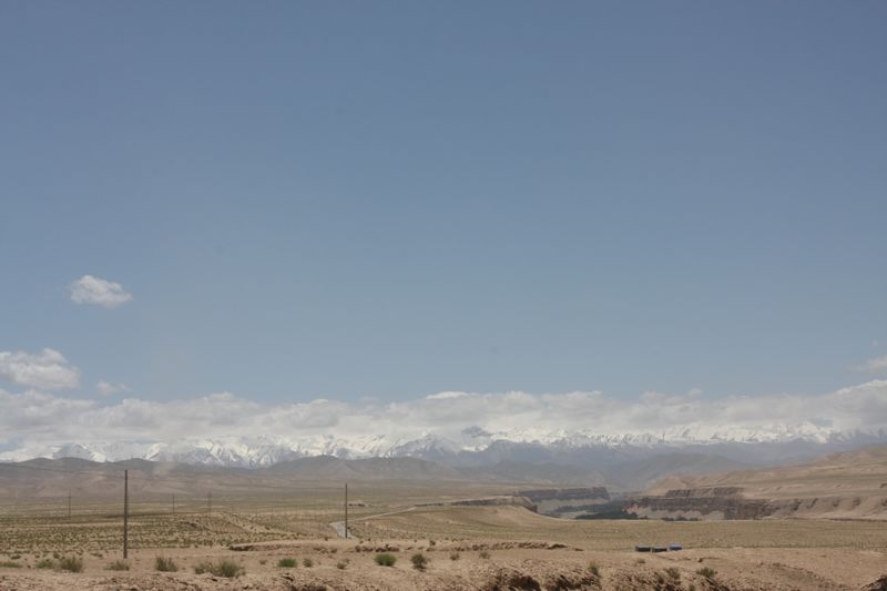 IMG_8411.JPG