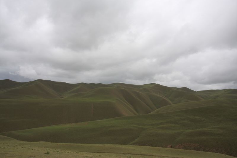 IMG_7464.JPG