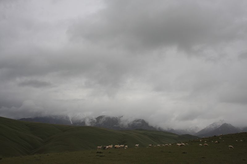 IMG_7484.JPG