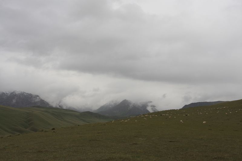 IMG_7471.JPG