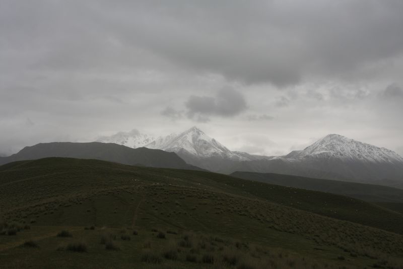 IMG_7552.JPG