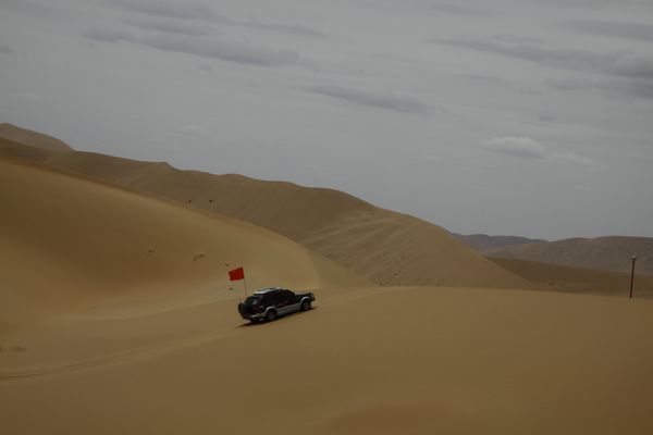 _MG_2215.jpg