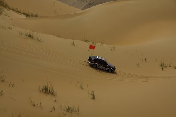 _MG_2213.jpg