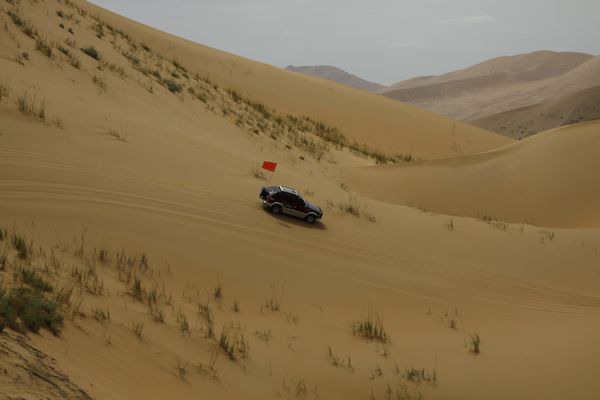 _MG_2212.jpg