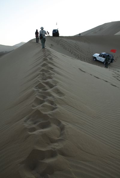 _MG_6275.jpg