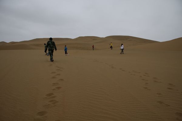 _MG_2466.jpg