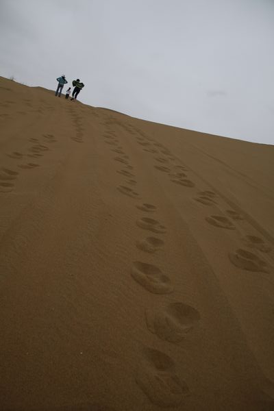 _MG_2465.jpg