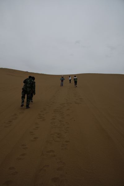 _MG_2459.jpg