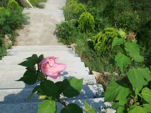 nEO_IMG_DSC04976.jpg